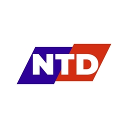 NTD logo